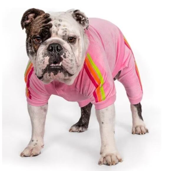FabDog Bright Pink Neon Striped Imitation Tracksuit Pet Clothing - Picture 1 of 3